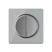 Wechselschalter 2fach mit Glas-Abdeckrahmen in Grau